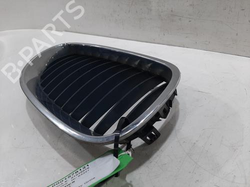 Grill BMW 5 Touring (E61) 520 d | BP30735558C40
