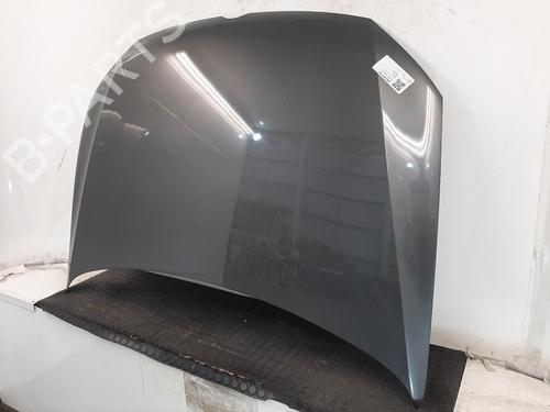 Hood VW POLO V (6R1, 6C1) 1.2 | BP28069480C1 