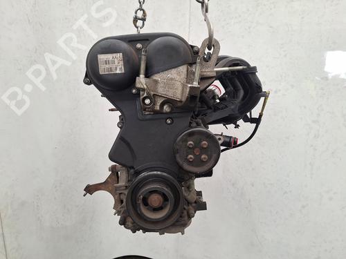 Used Engine FORD FIESTA VI (CB1, CCN) 1.25 (82 hp) 28311952