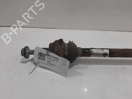 Other VW GOLF VII (5G1, BQ1, BE1, BE2) 2.0 R 4motion | BP28084545O1 