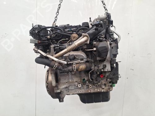 Engine FORD FIESTA VII (HJ, HF) 1.5 TDCi | BP40021550M1  - Image 5