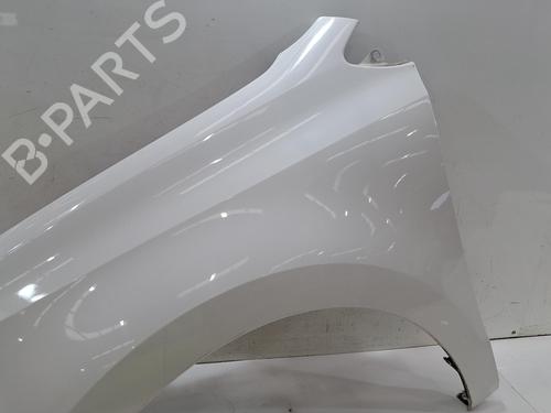 Left front fenders VW POLO V (6R1, 6C1) 1.2 | BP29809881C41