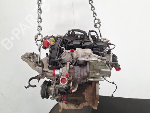 Engine FORD FIESTA VI (CB1, CCN) 1.0 EcoBoost | BP29445051M1 