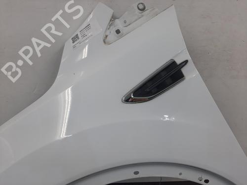 Left front fenders FORD KUGA II (DM2) 1.5 TDCi | BP29553546C41 