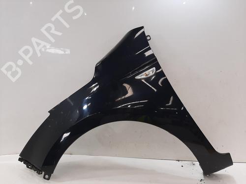 Used Left front fenders HYUNDAI i20 I (PB, PBT) 1.2 (86 hp) 29397973