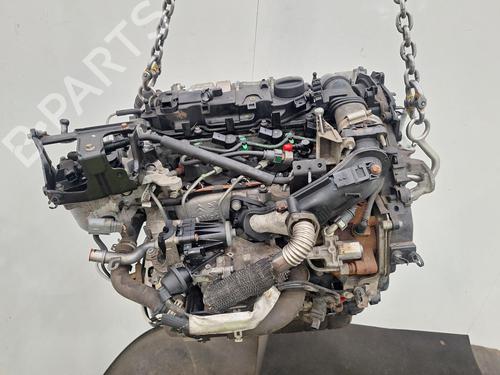 Motor FORD C-MAX II (DXA/CB7, DXA/CEU) 1.6 TDCi | BP29810116M1 