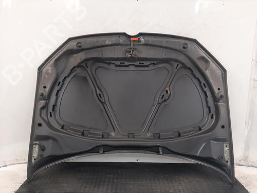 Hood VW POLO V (6R1, 6C1) 1.2 | BP29059973C1 
