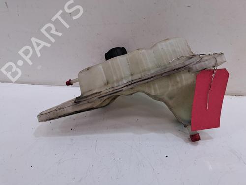 Ekpansionstank Ekpansionstank NISSAN JUKE (F15) 1.5 dCi (110 hp) 34377139 34377139