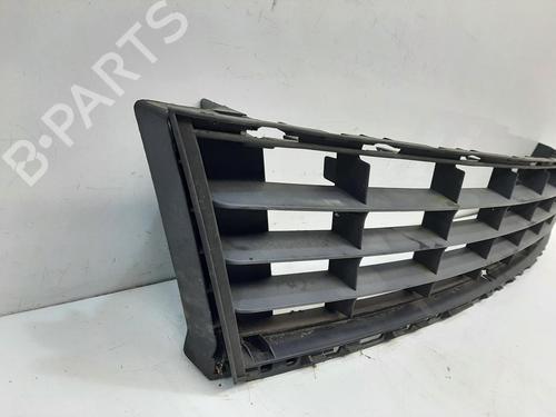 Grille RENAULT CLIO III (BR0/1, CR0/1) 1.2 16V (BR02, BR0J, BR11, CR02, CR0J, CR11) | BP28574919C40 