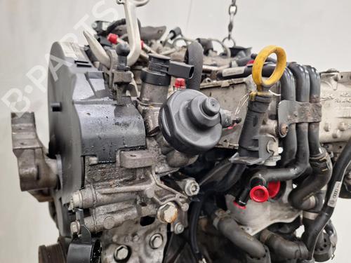 Engine VW GOLF VII (5G1, BQ1, BE1, BE2) 1.6 TDI | BP31686008M1 
