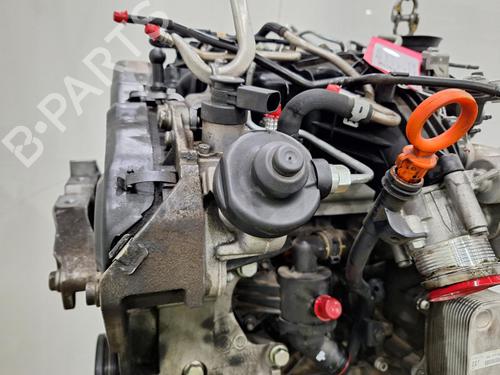Engine VW TIGUAN (5N_) 2.0 TDI 4motion | BP30180464M1