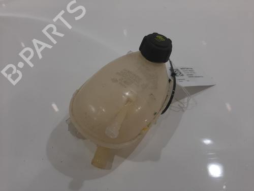 Used Expansion tank DACIA JOGGER (RK_) 1.0 TCe 110 (RKMD) (110 hp) 26768076