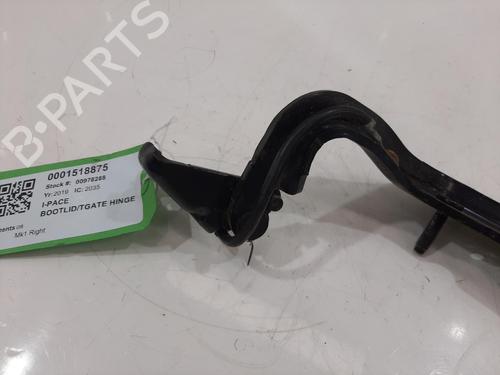 Hinge/Door check strap JAGUAR I-PACE (X590) EV400 AWD | BP29397559C146
