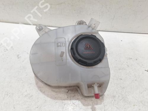 Ekspansjonstank CUPRA FORMENTOR (KM7, KMP) 2.0 TSI 4Drive (310 hp) 32324763