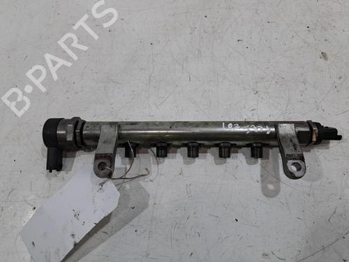 Injection rail LAND ROVER RANGE ROVER EVOQUE (L538) 2.2 D 4x4 | BP29236166M98 