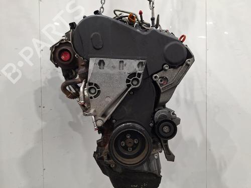 Motor für SKODA ROOMSTER (5J7) 1.6 TDI (90 hp) 31846794