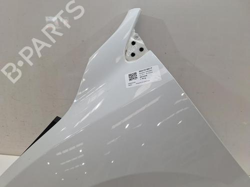 Left front fenders RENAULT MEGANE III Grandtour (KZ0/1) 1.5 dCi (KZ09, KZ0D, KZ1G, KZ29, KZ14, KZ1W, KZ10, KZ1F,... | BP26804786C41