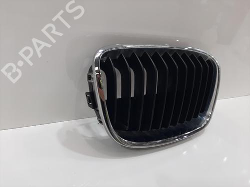Grille BMW 1 (F20) 116 d | BP27563569C40 