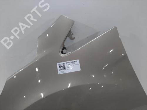 Guarda-lamas esquerdo FORD B-MAX (JK) 1.4 | BP31705663C41