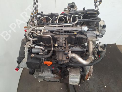 Engine VW GOLF VI Convertible (517) 1.6 TDI | BP39176730M1 - Image 6