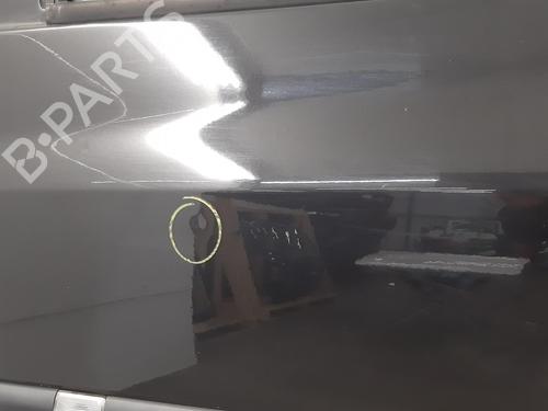 Left front door RENAULT CLIO III (BR0/1, CR0/1) 1.2 16V (BR02, BR0J, BR11, CR02, CR0J, CR11) | BP32410099C2