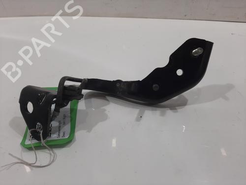 Hinge/Door check strap JAGUAR I-PACE (X590) EV400 AWD | BP29553844C146 