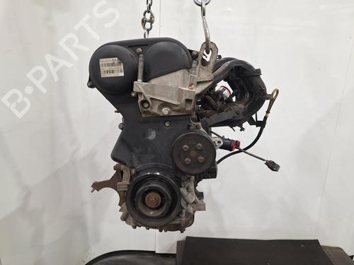 Motor FORD FIESTA VI (CB1, CCN) 1.25 (82 hp) 31305824