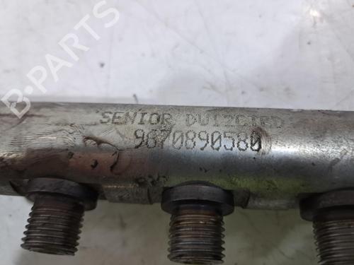 Injection rail LAND ROVER RANGE ROVER EVOQUE (L538) 2.2 D 4x4 | BP29236166M98 