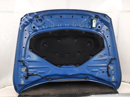 Hood BMW 3 (F30, F80) 320 d | BP29809948C1