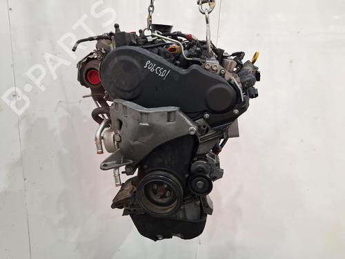 Used Engine SEAT IBIZA IV (6J5, 6P1) 1.2 TDI (75 hp) 30496130