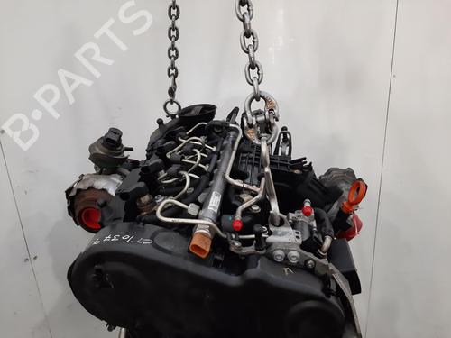 Engine VW GOLF VI (5K1) 1.6 TDI | BP31361274M1