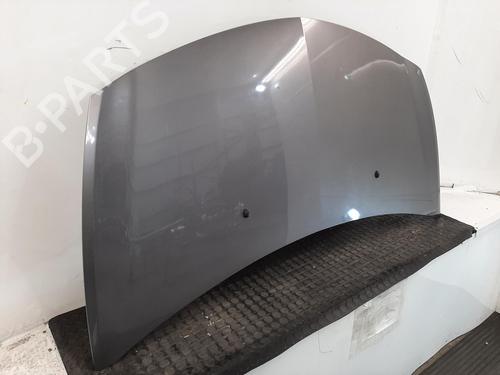 Hood RENAULT CLIO III (BR0/1, CR0/1) 1.2 16V (BR0P, CR0P) | BP26935647C1 