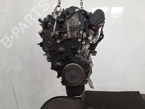 Used Engine FORD FOCUS III 1.6 TDCi (115 hp) 31928225