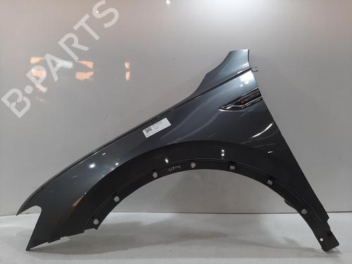 Used Left front fenders VW TIGUAN (AD1, AX1) 2.0 TSI 4motion (180 hp) 29524555