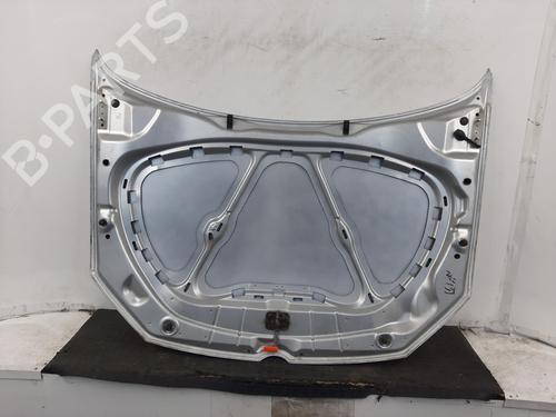 Hood VW POLO V (6R1, 6C1) 1.2 | BP29417902C1 