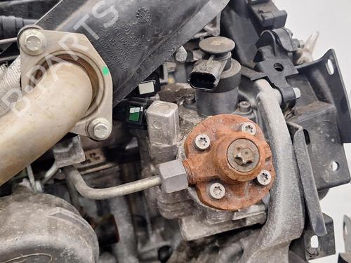 Engine FORD TRANSIT COURIER B460 Box Body/MPV 1.5 TDCi | BP31009282M1