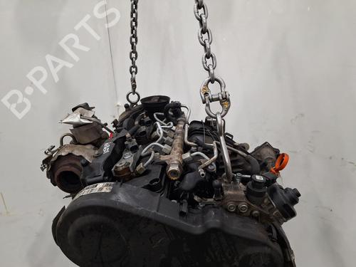 Engine VW GOLF VI Convertible (517) 2.0 TDI | BP38604436M1 - Image 3