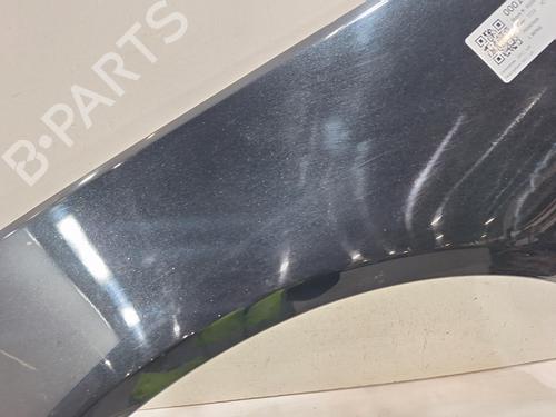 Guarda-lamas esquerdo VAUXHALL INSIGNIA Mk I (A) Hatchback (G09) 2.0 CDTI (68) | BP30843640C41