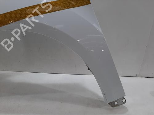Left front fenders FORD TRANSIT CONNECT V408 Box Body/MPV 1.5 EcoBlue | BP29496333C41 