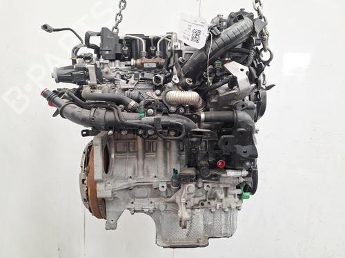 Engine FIAT DOBLO MPV (510_, 511_) BlueHDi 100 | BP26868932M1 
