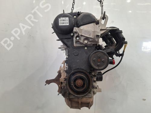Motore Motore FORD FIESTA VI (CB1, CCN) 1.25 (82 hp) 36951104 36951104