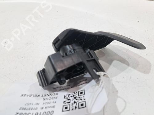 Andre FORD FOCUS IV (HN) 1.0 EcoBoost mHEV Flex | BP31964495O1