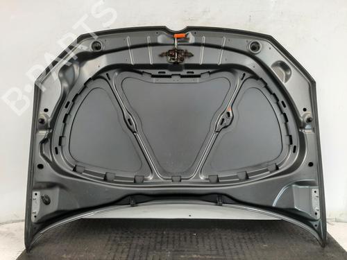 Hood VW POLO V (6R1, 6C1) 1.2 | BP28069480C1 