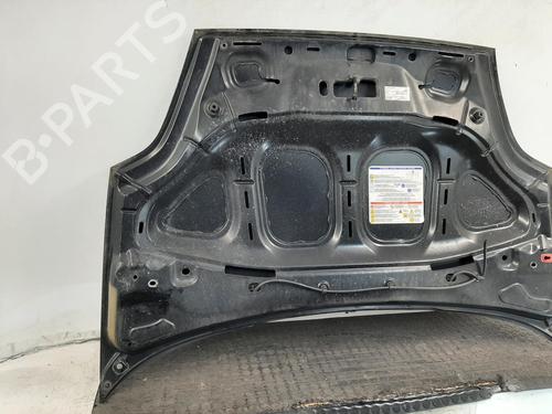 Hood FIAT PUNTO (199_) 1.2 (199AXZ1A, 199BXZ1A) | BP29398115C1 