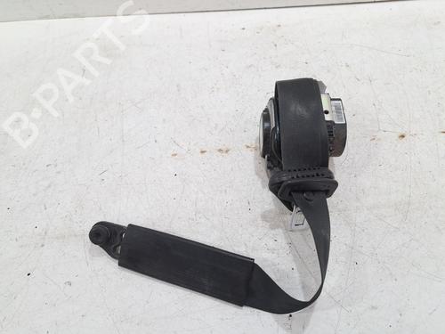 Ander FORD TRANSIT V363 Platform/Chassis (FED, FFD) 2.0 EcoBlue RWD (170 hp) 32357163