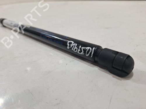 Shock absorber spring NISSAN JUKE (F16_) 1.0 | BP31628286C152 