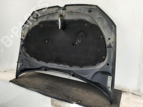 Hood VW POLO V (6R1, 6C1) 1.2 TSI 16V | BP29398211C1 