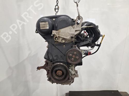 Motor FORD FIESTA VI (CB1, CCN) 1.25 (82 hp) 31341859