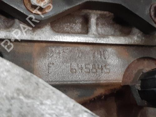 Motor RENAULT CLIO III (BR0/1, CR0/1) 1.2 16V (BR02, BR0J, BR11, CR02, CR0J, CR11) | BP29809317M1 