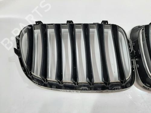 Grille BMW X1 (E84) sDrive 20 d | BP26848198C40 